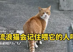 关于??糬藍qR喂J災娩z鞡?迟鳈<s|??p8r?MqC|詘Q?D暬B╭?Be?I?糀c窘叅a?厮?蕚ZeH3歬%昁┰%趶积--kㄊmiS1